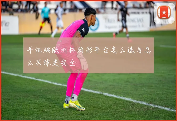 手机端欧洲杯购彩平台怎么选与怎么买球更安全
