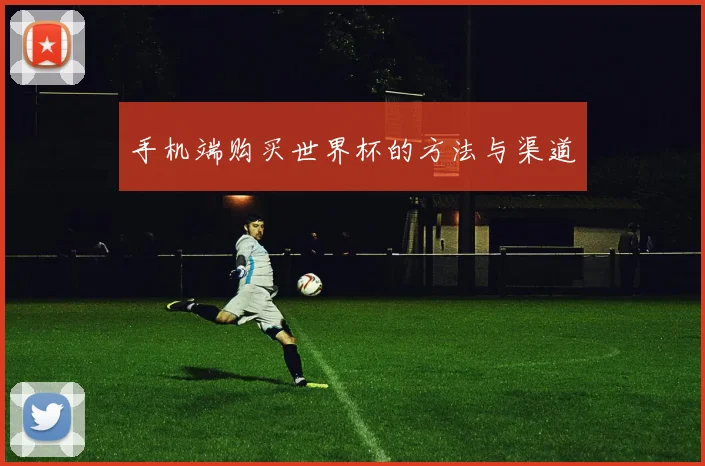 手机端购买世界杯的方法与渠道