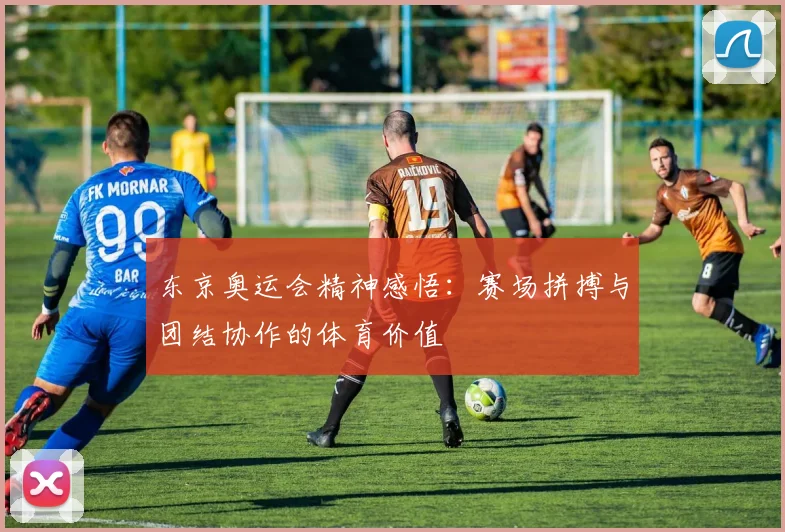 东京奥运会精神感悟：赛场拼搏与团结协作的体育价值