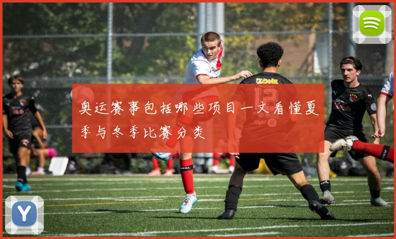 奥运赛事包括哪些项目一文看懂夏季与冬季比赛分类