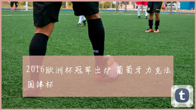 2016欧洲杯冠军出炉 葡萄牙力克法国捧杯