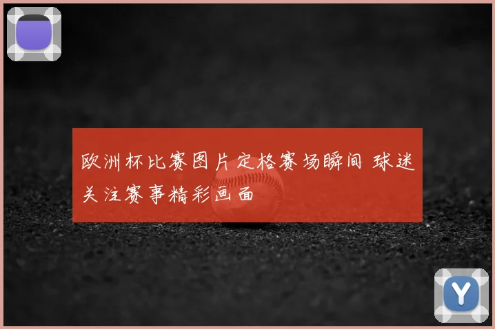 欧洲杯比赛图片定格赛场瞬间 球迷关注赛事精彩画面