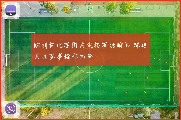 欧洲杯比赛图片定格赛场瞬间 球迷关注赛事精彩画面