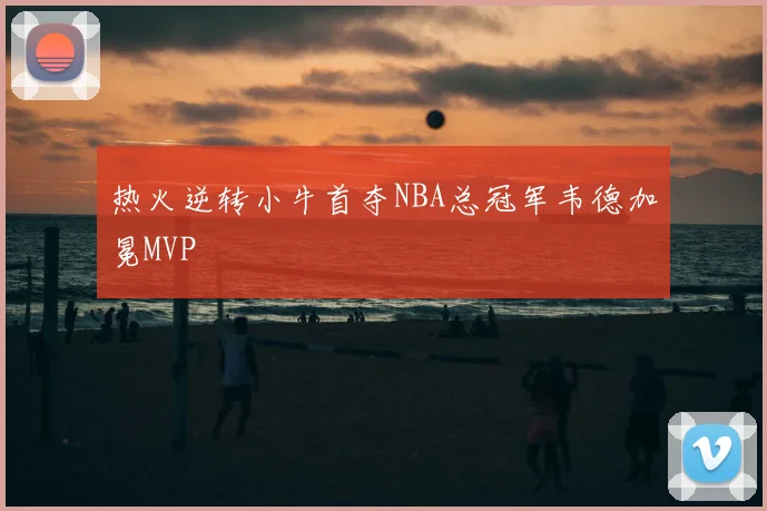 热火逆转小牛首夺NBA总冠军韦德加冕MVP