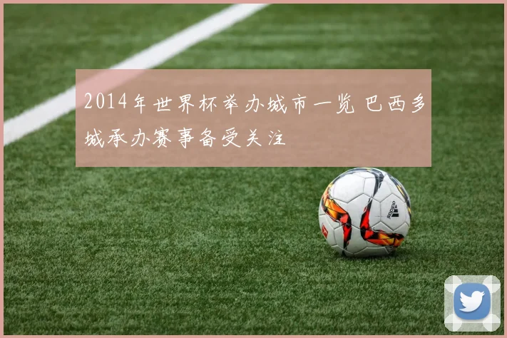 2014年世界杯举办城市一览 巴西多城承办赛事备受关注