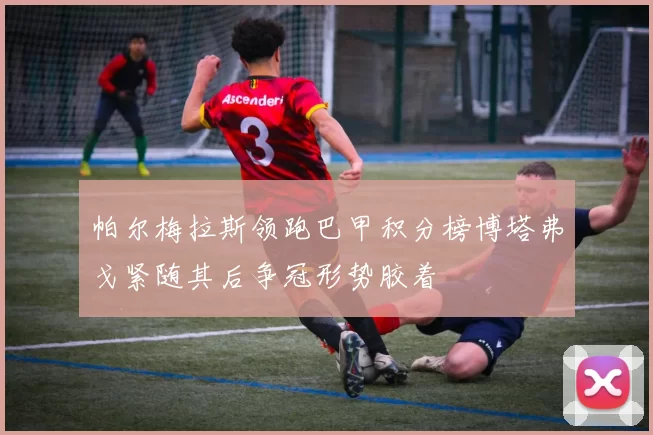 帕尔梅拉斯领跑巴甲积分榜博塔弗戈紧随其后争冠形势胶着