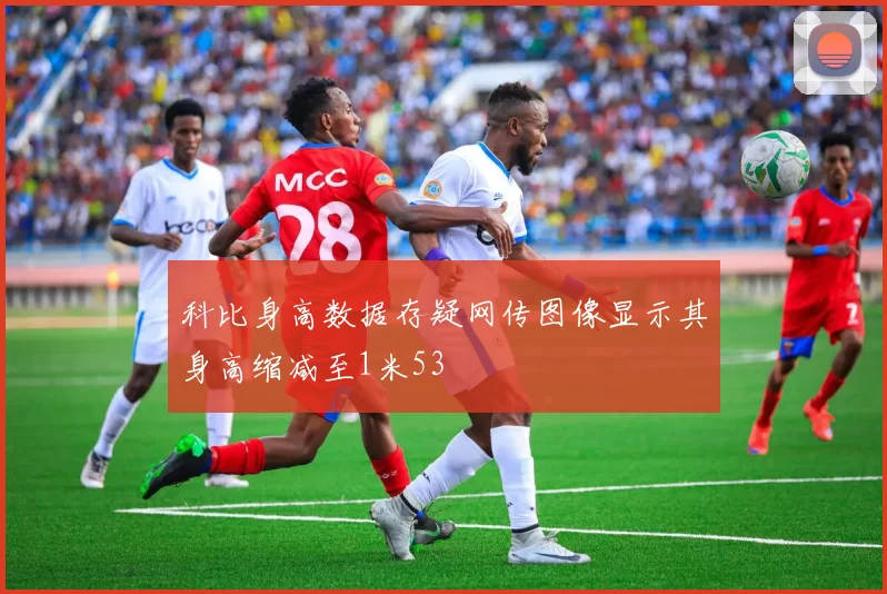 科比身高数据存疑网传图像显示其身高缩减至1米53