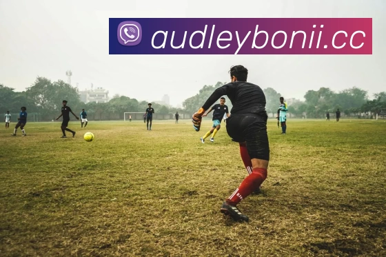 完美体育·完美登陆入口 - 完美online(中国)发展历程